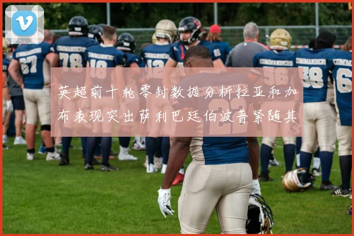 英超前十轮零封数据分析拉亚和加布表现突出萨利巴廷伯波普紧随其后