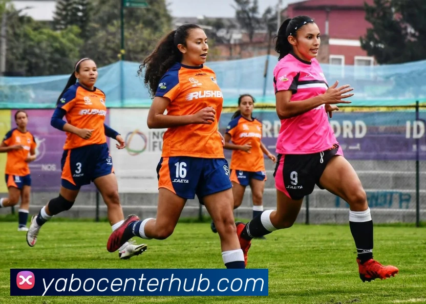 亚博体育平台生态图